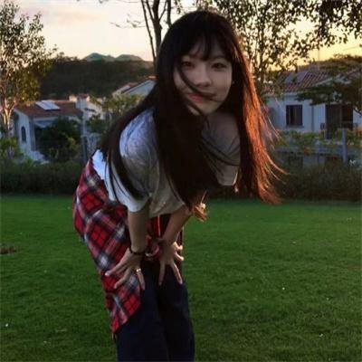 双生赤狐